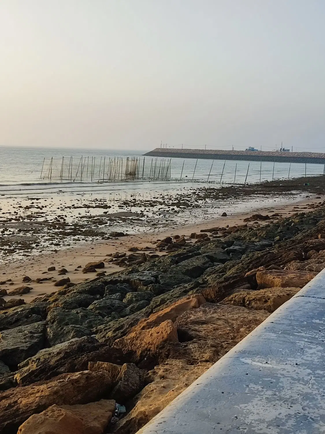 تصویر 14