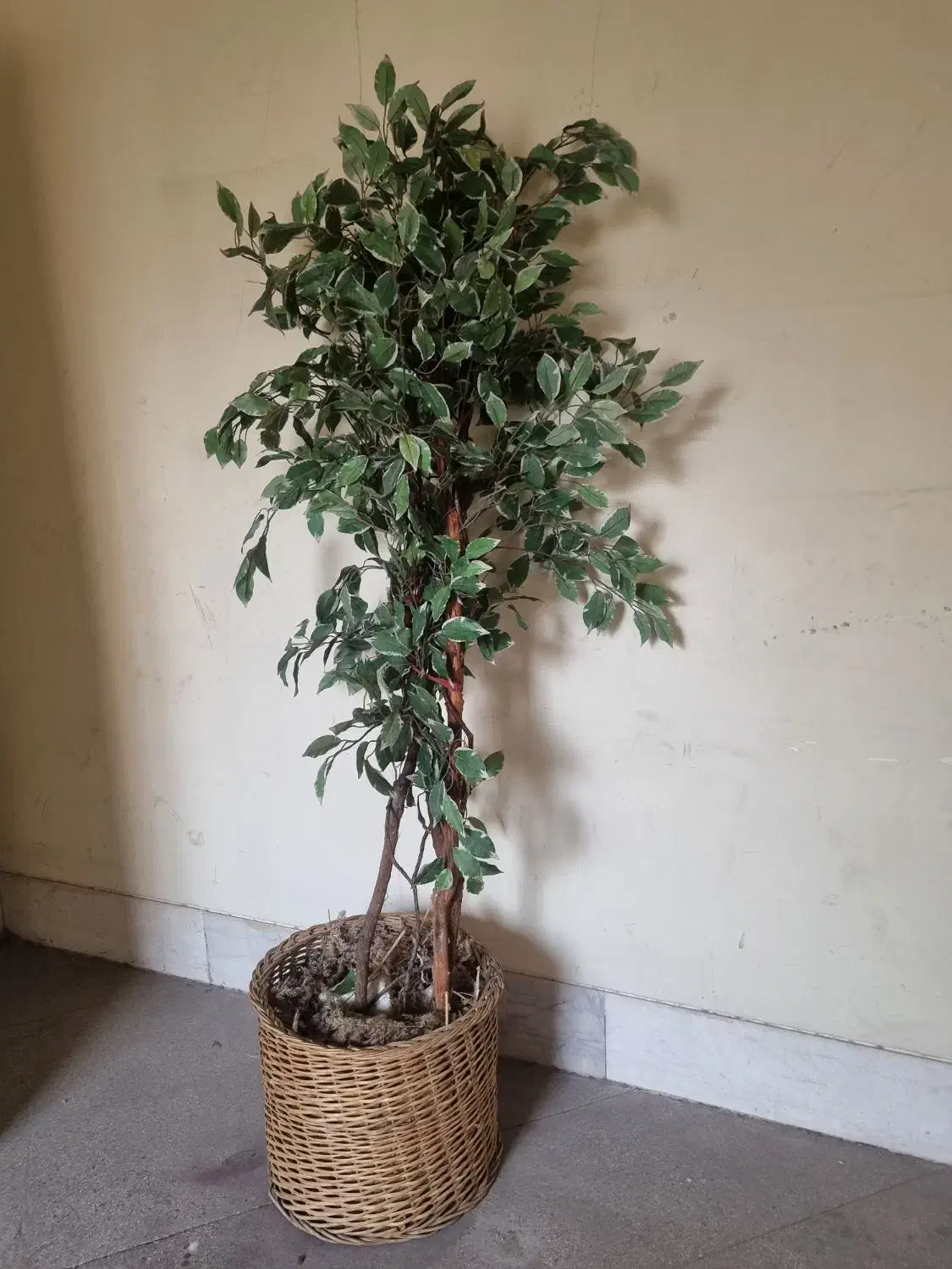 درختچه مصنوعی|گل مصنوعی|تهران, محمودیه|دیوار