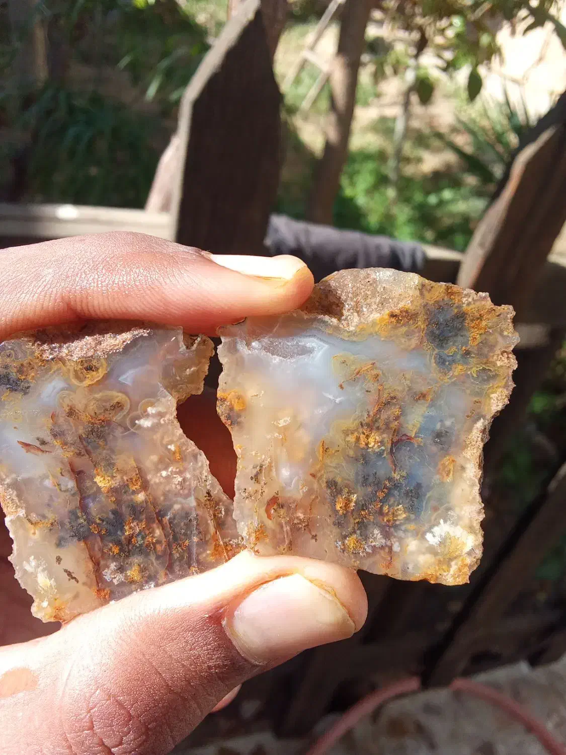 انواع سنگ شجرمشکی خراسان|کلکسیون اشیاء عتیقه|شهرکرد, |دیوار