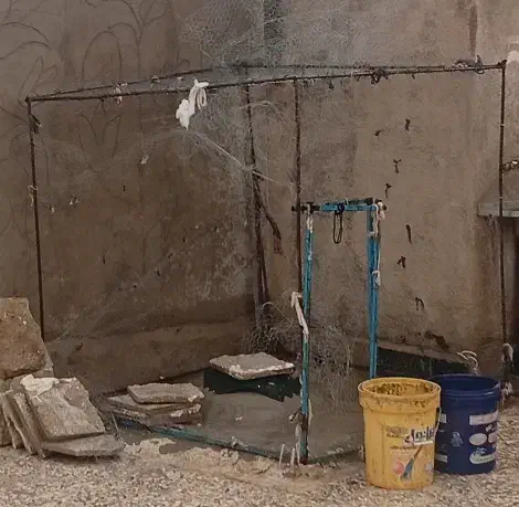 طور کفتر|لوازم جانبی حیوانات|خرم‌آباد, |دیوار