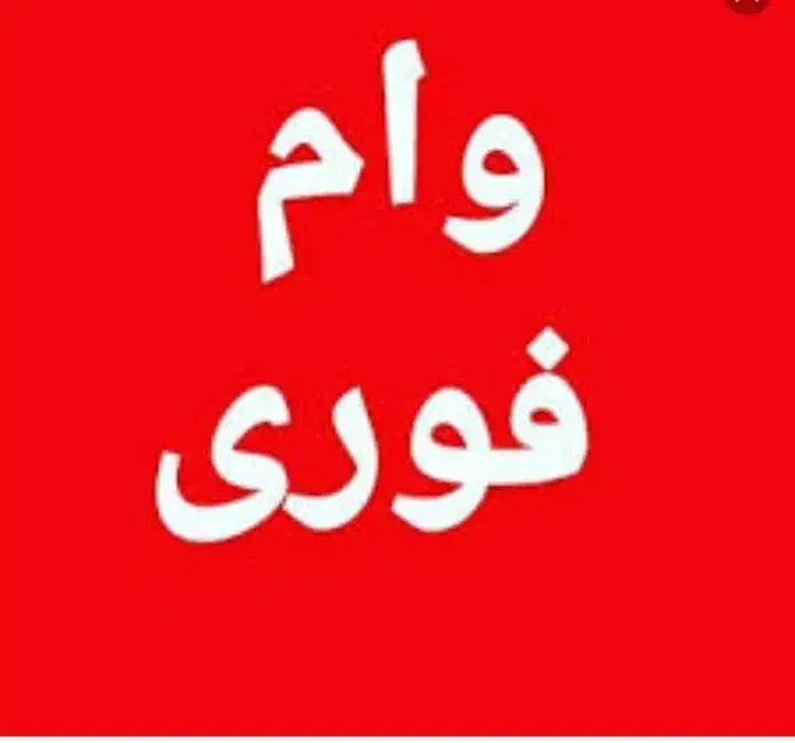 باجت ۱ روزه تسویه آنی|خدمات مالی، حسابداری، بیمه|تهران, هروی|دیوار