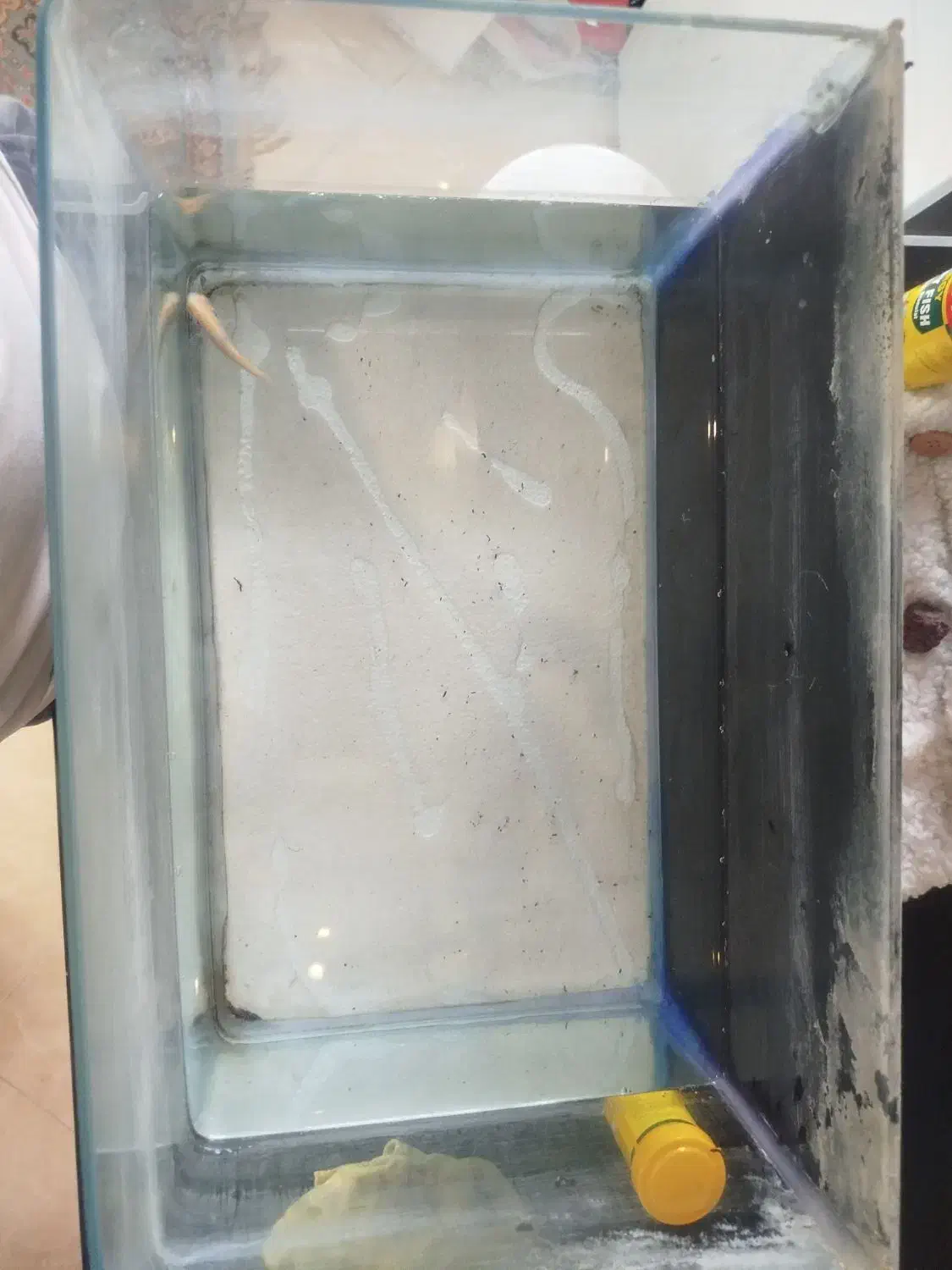 فروش آکواریوم به همراه لوازم|ماهی|تهران, مینای شمالی (مخبر)|دیوار