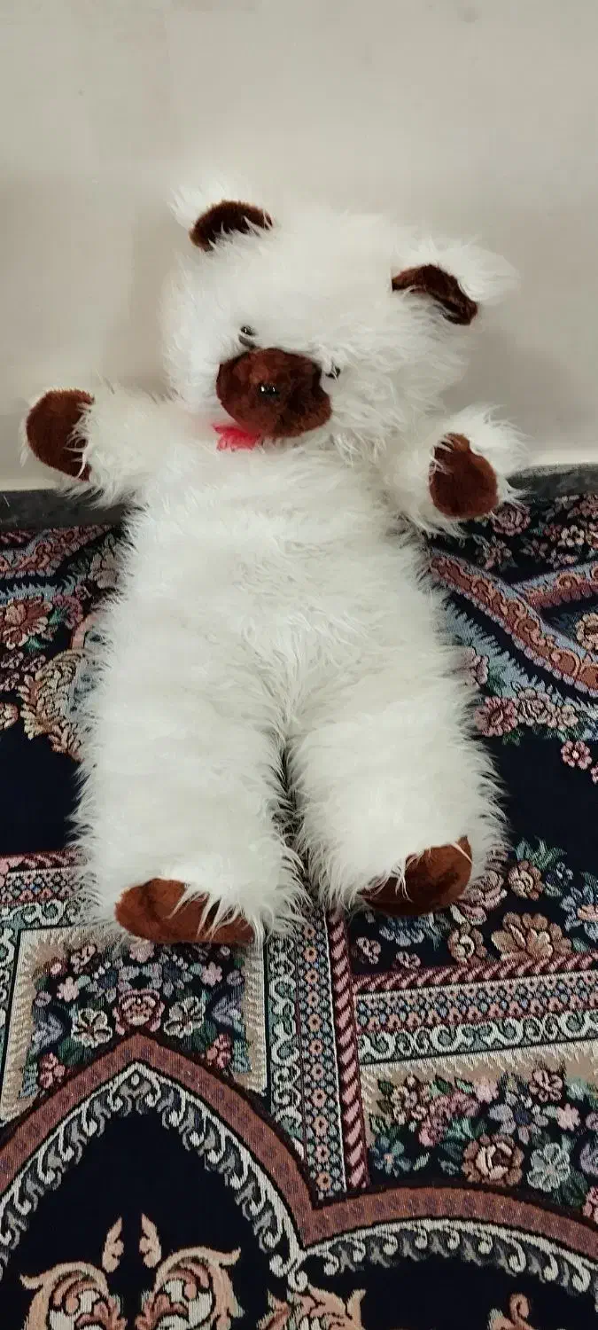 لباس ورزشی|کفش و لباس بچه|دزفول, |دیوار