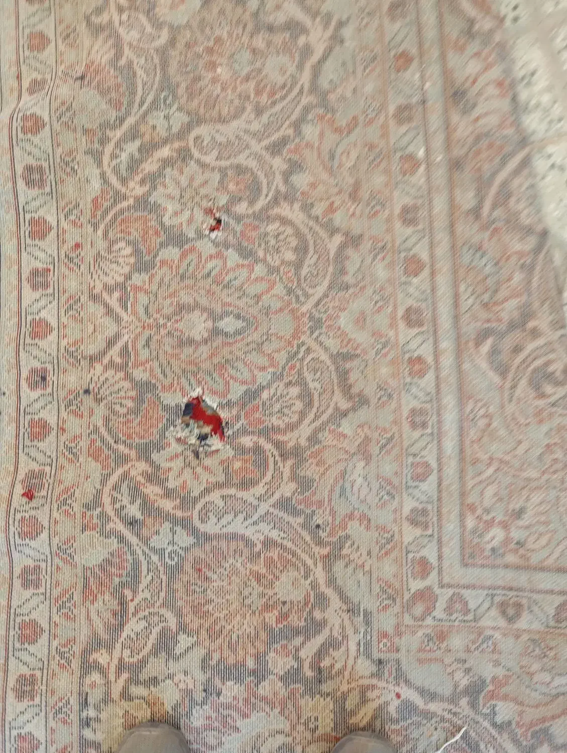 دوتخته فرش12متری|فرش|کوهپایه, |دیوار