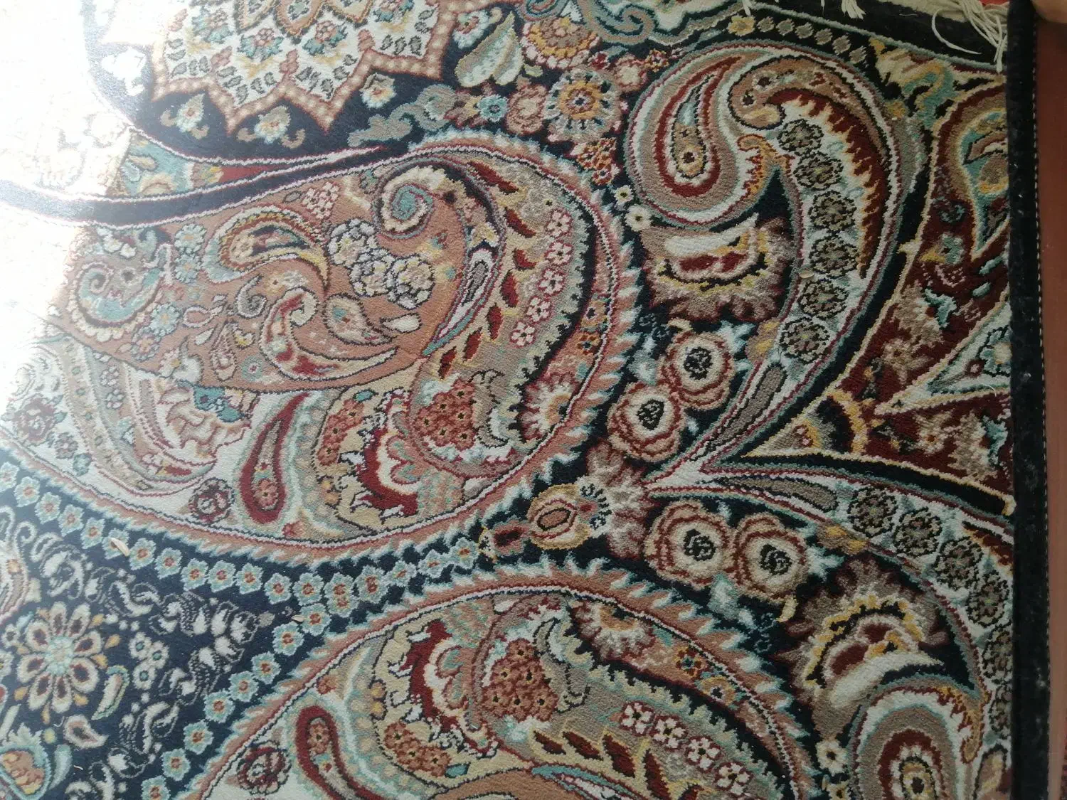 قالی 12متری|فرش|شیروان (خراسان), |دیوار