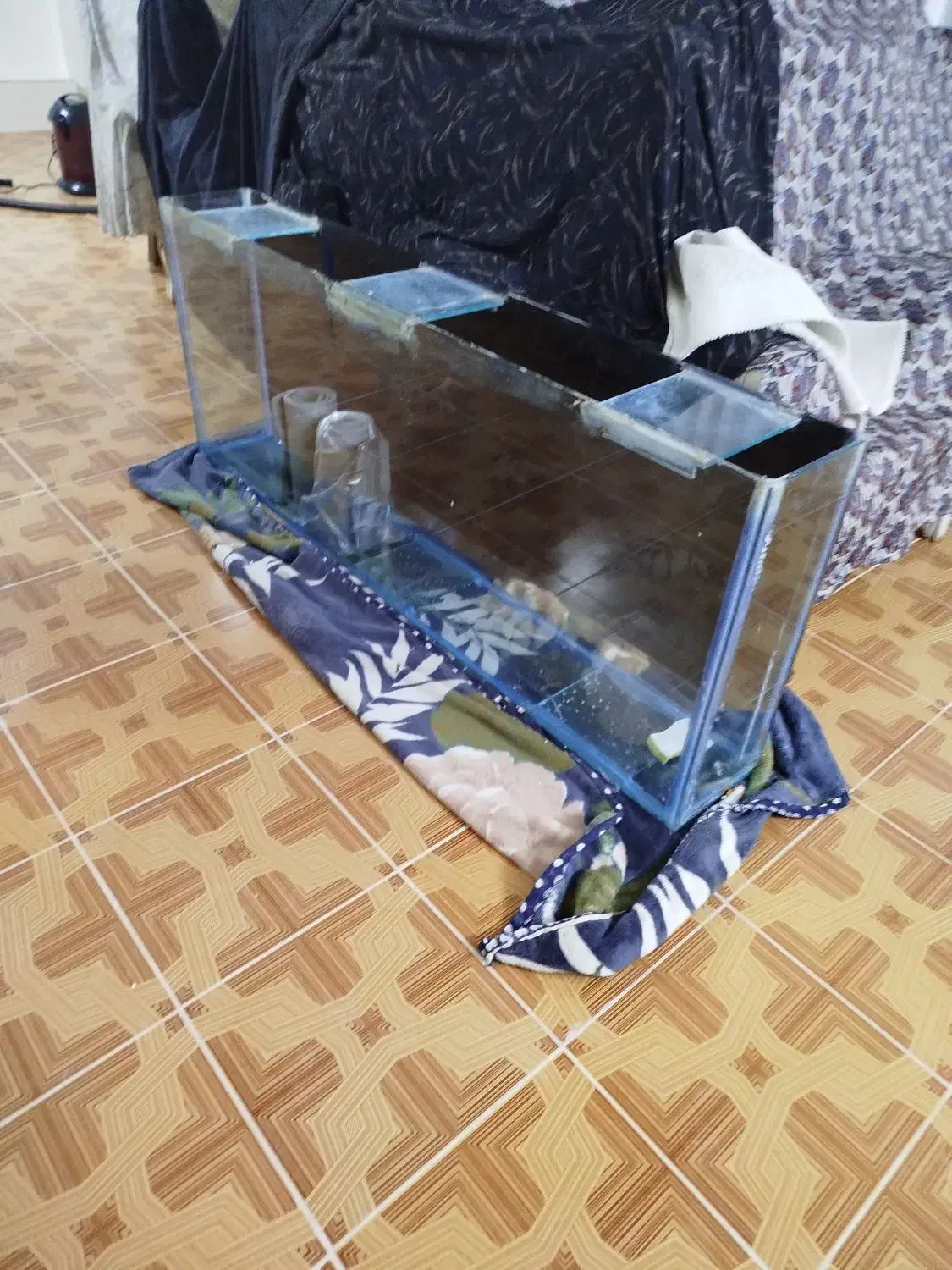 آکواریوم بزرگ شیشه 10میل سالم|ماهی|قم, نیروگاه|دیوار