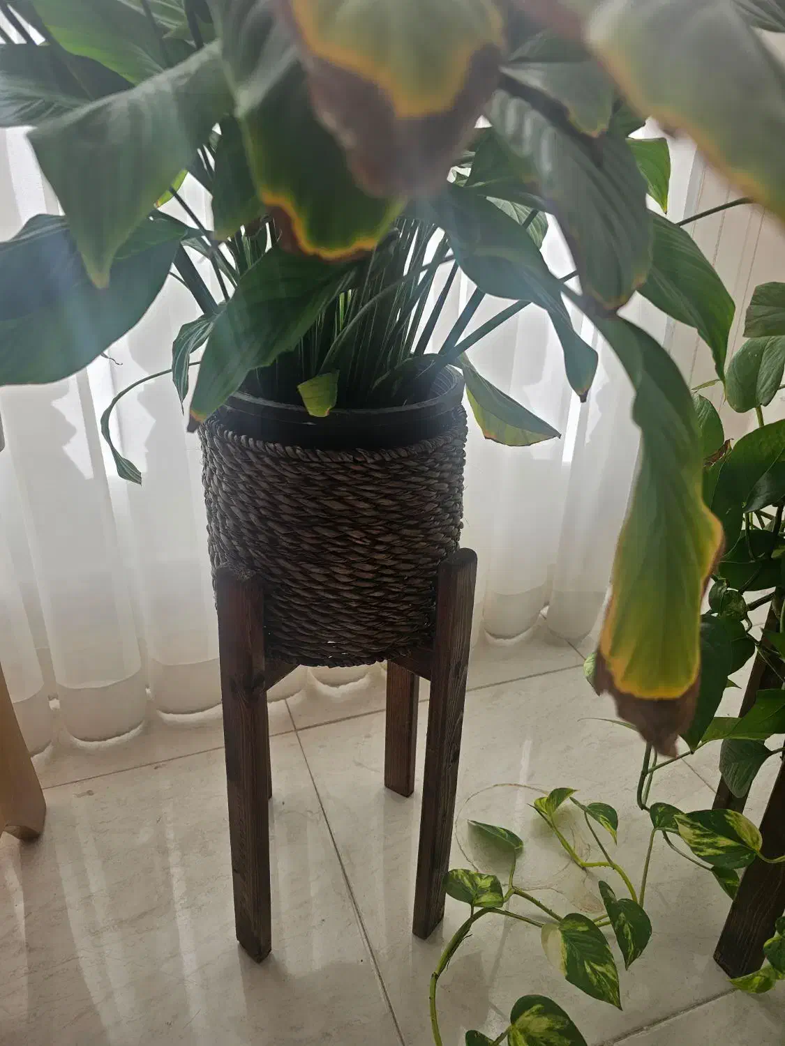 وسایل نو|لوستر و چراغ آویز|همدان, |دیوار