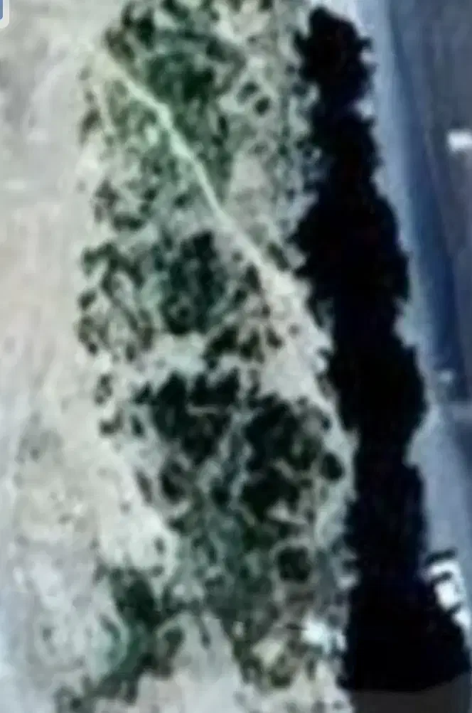 زمین تجاری مسکونی بهترین موقعیت درخش و اسیابان|فروش زمین و ملک کلنگی|قهستان, |دیوار