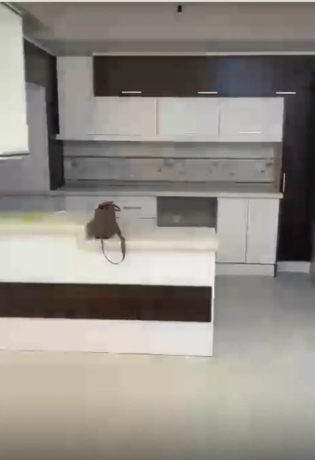 رهن واجاره ۱۱۰متری بسیارشیک خیابان گل|اجارهٔ آپارتمان|بابل, |دیوار