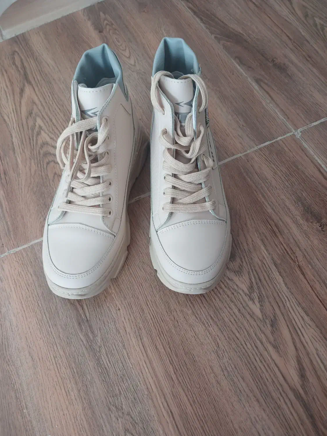 کفش|کیف، کفش، کمربند|تربت‌حیدریه, آسایش|دیوار