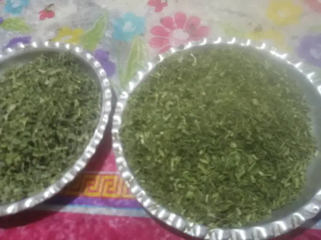 سیر کوهی و ترشی|خوردنی و آشامیدنی|یاسوج, |دیوار