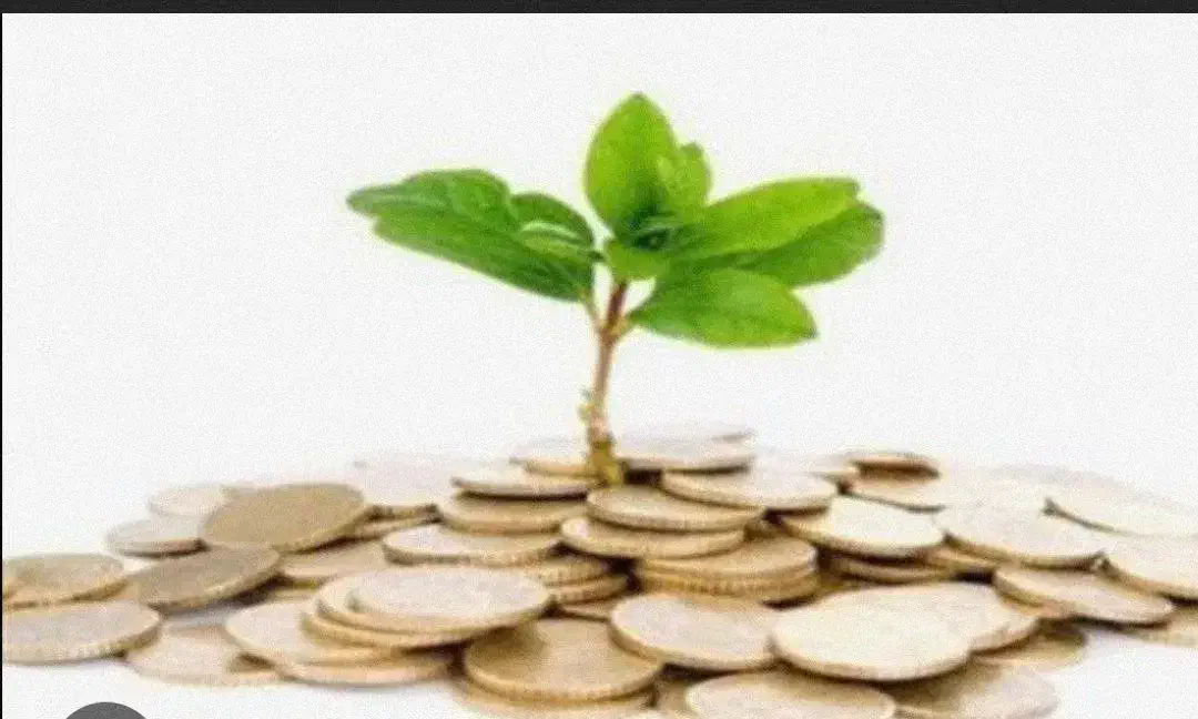 سرمایه گذاری ،پذیرش سرمایه .وام|خدمات مالی، حسابداری، بیمه|قائن, |دیوار