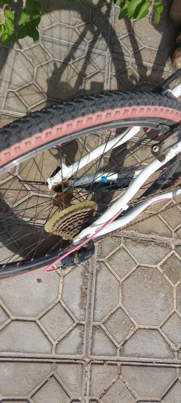 دوچرخه سایز ۲۶|دوچرخه، اسکیت، اسکوتر|بجنورد, |دیوار