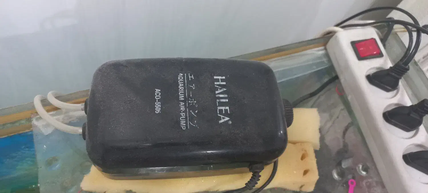 اکواریوم|ماهی|بندر ماهشهر, |دیوار