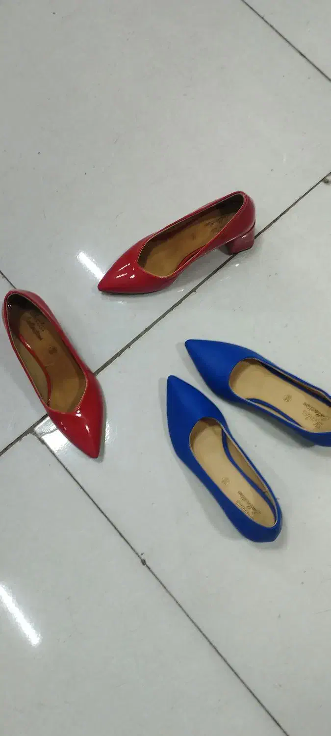 زنانه مجلسی ۱۹۹ت|کیف، کفش، کمربند|بیرجند, |دیوار