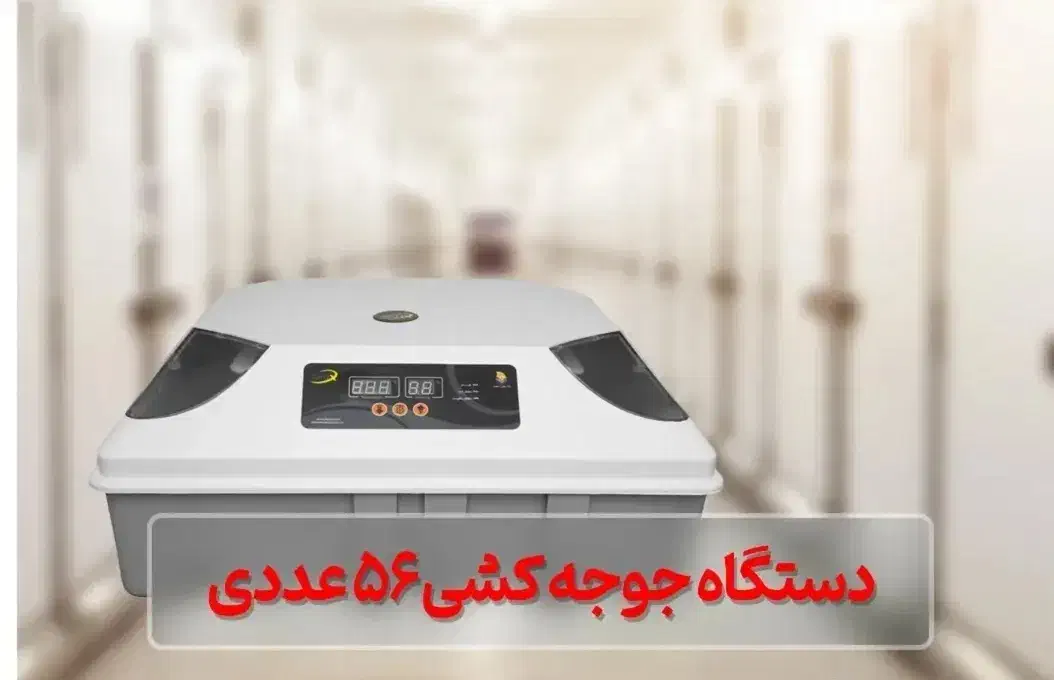دستگاه جوجه کشی|لوازم جانبی حیوانات|نوشهر, |دیوار