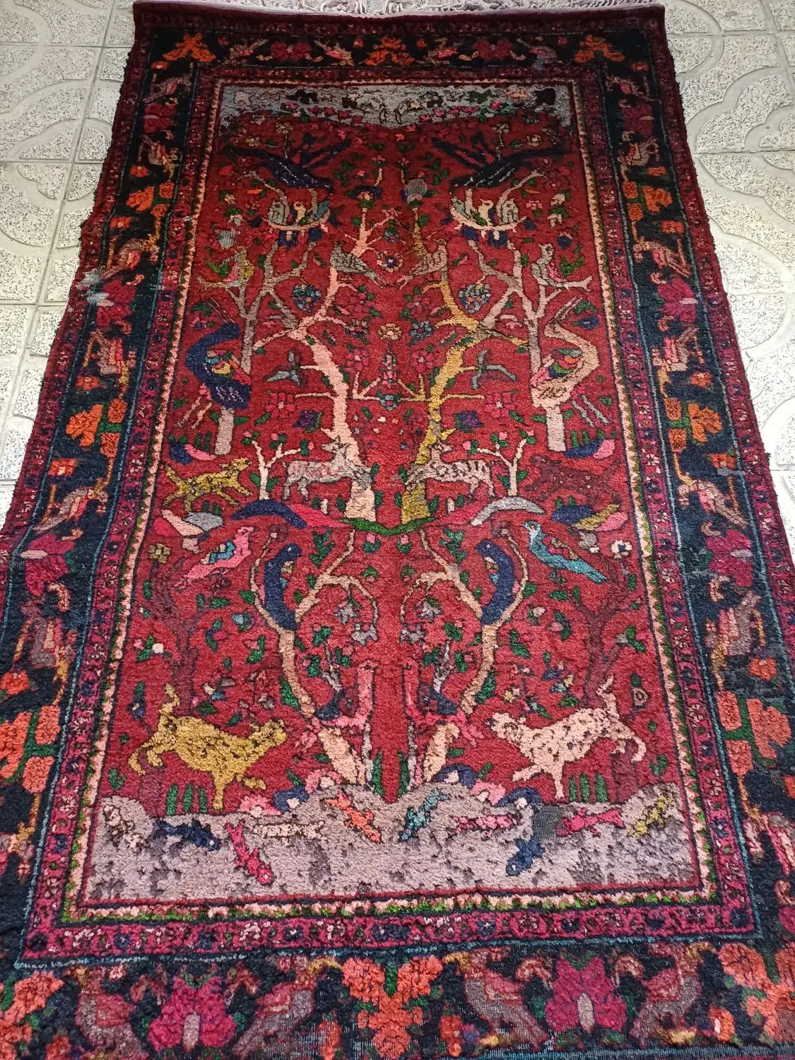 فرش دستبافت قالیچه دست بافت قالی قدیمی سنتی دستباف|فرش|فردیس, شهرک هفده شهریور|دیوار