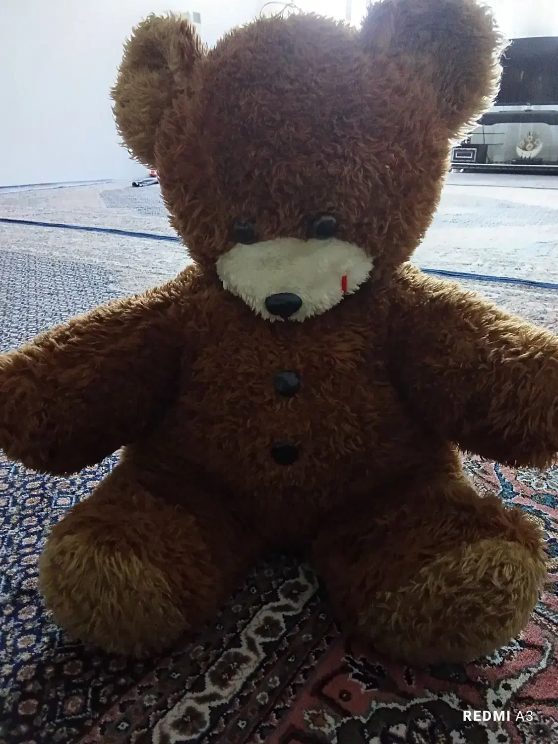 خرس|اسباب‌بازی بچه|اردبیل, |دیوار