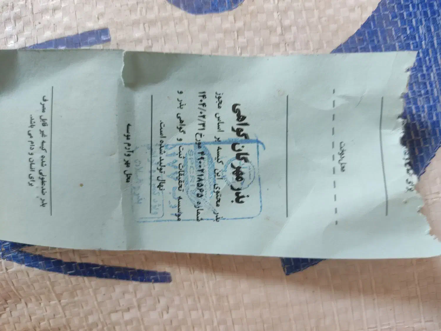 بذر گندم مهرگان|عمدهفروشی|برازجان, |دیوار