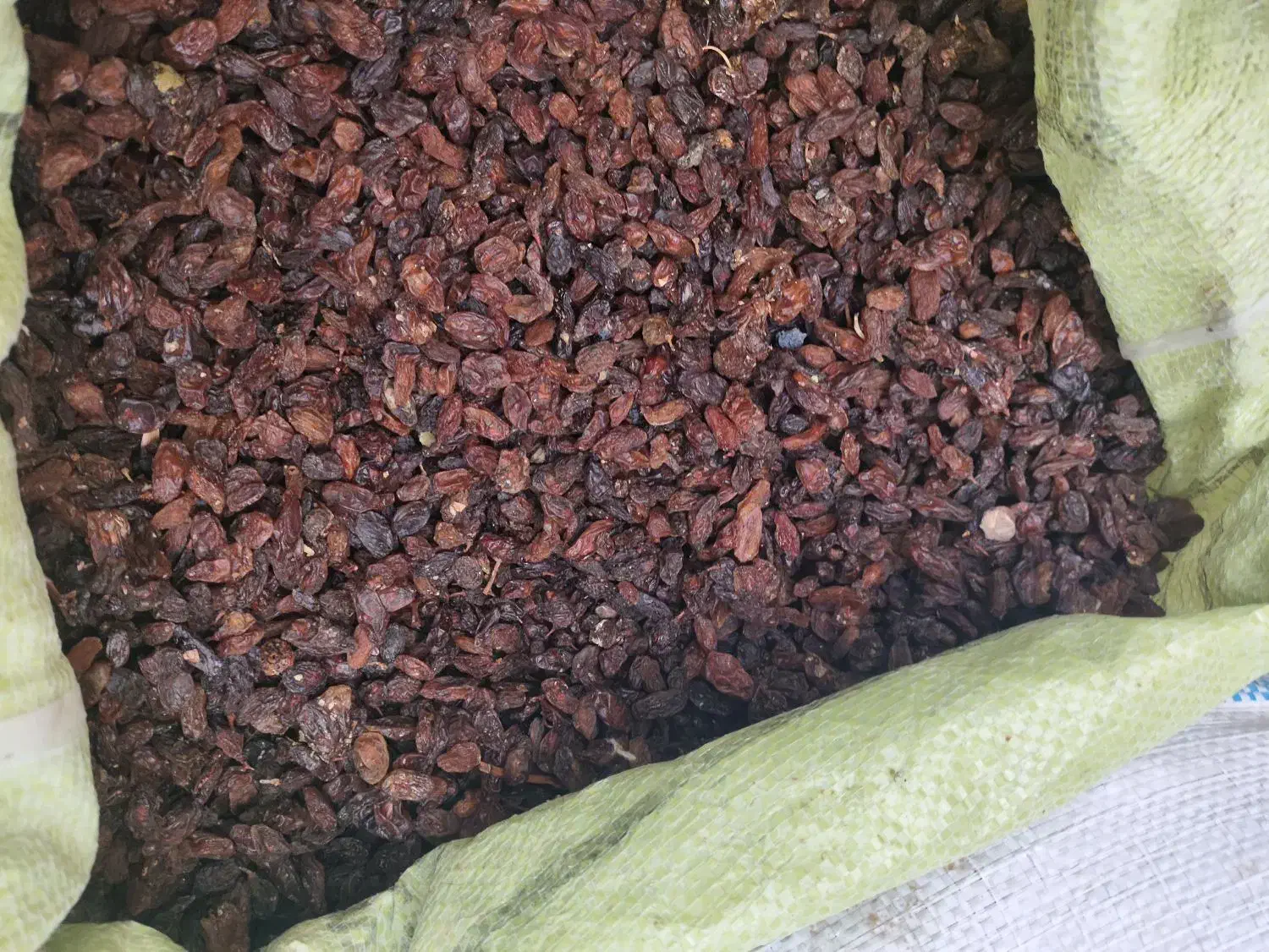 کشمش افتابی|خوردنی و آشامیدنی|یزد, |دیوار