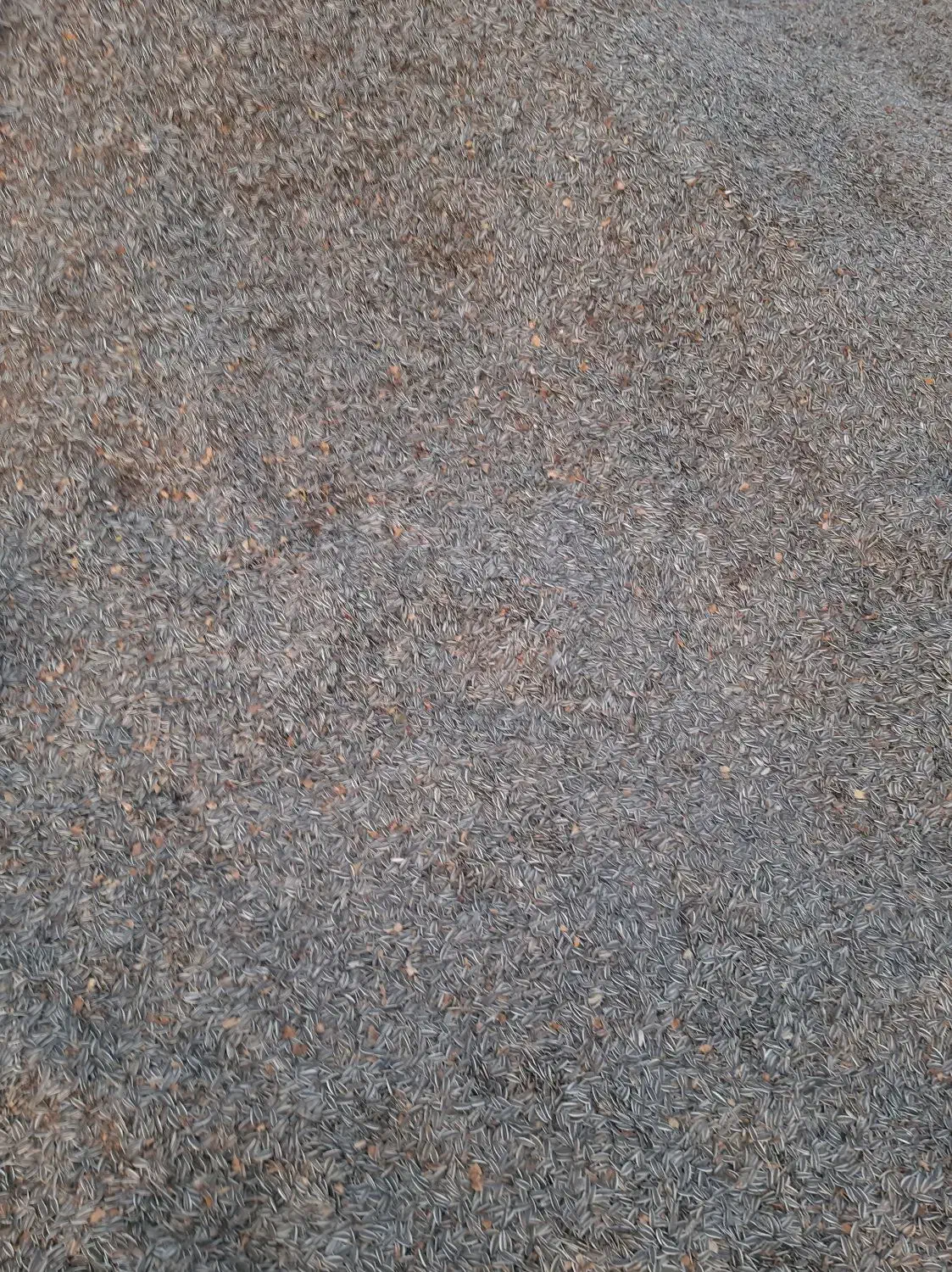 پوکه|عمدهفروشی|ایواوغلی, |دیوار