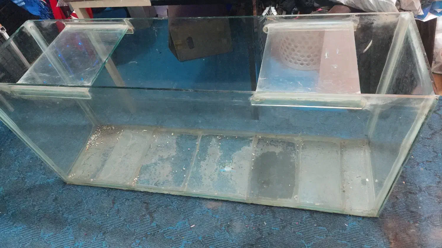 آکواریوم بزرگ|ماهی|قم, شهرک امام حسین|دیوار