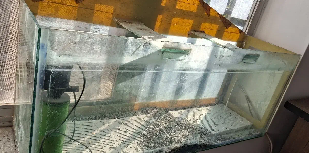 آکواریوم بزرگ سالم با مقداری لوازم|ماهی|تربتحیدریه, شهرک ولیعصر|دیوار