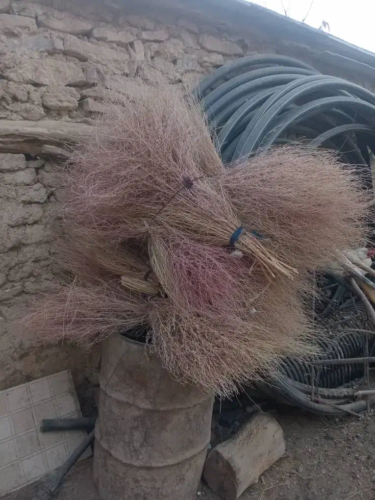 جارو محلی(گزی)|لوازم نظافت|مریوان, |دیوار