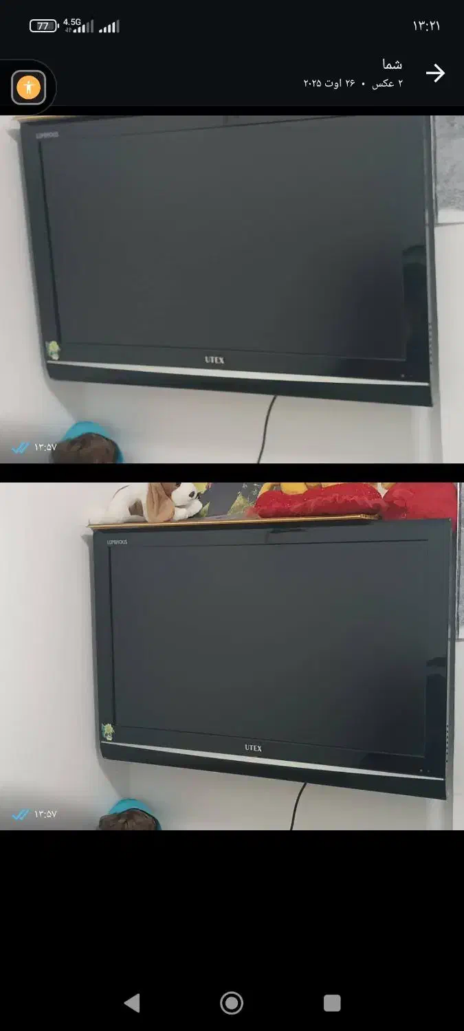 تلویزیون|تلویزیون و پروژکتور|چالوس, |دیوار