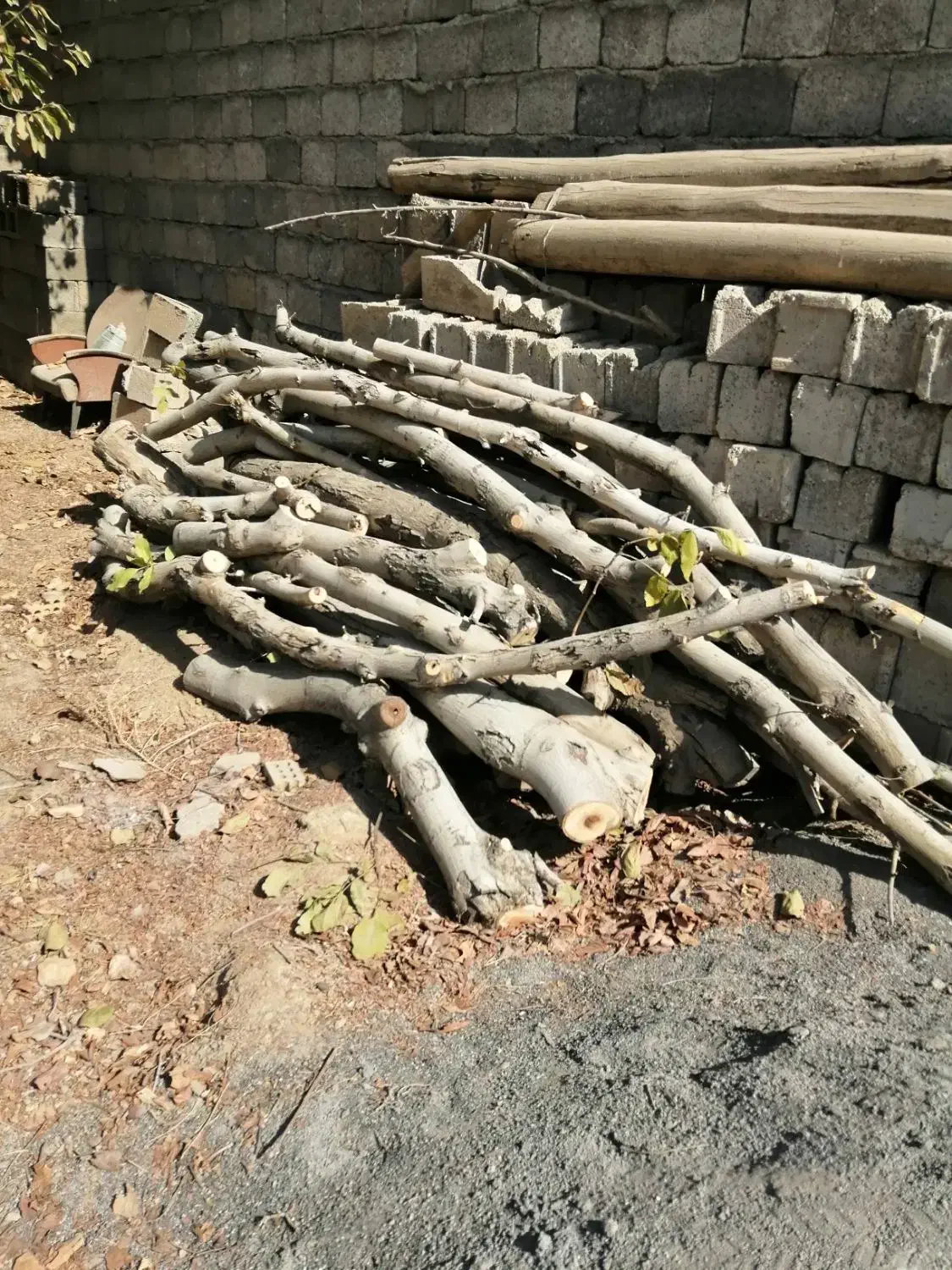 چوب گردو و چوب زغال|مصالح و تجهیزات ساختمان|نجف‌آباد, قلعه سفید|دیوار