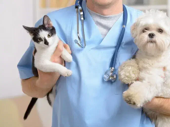 استخدام خانم در کلینیک حیوانات خانگی|استخدام درمانی، زیبایی، بهداشتی|تبریز, |دیوار