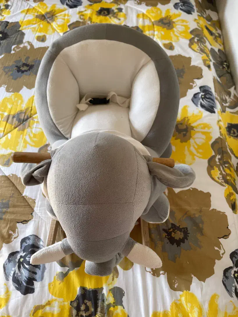 فیل بازی در حد نو|اسباببازی|رشت, فلسطین|دیوار