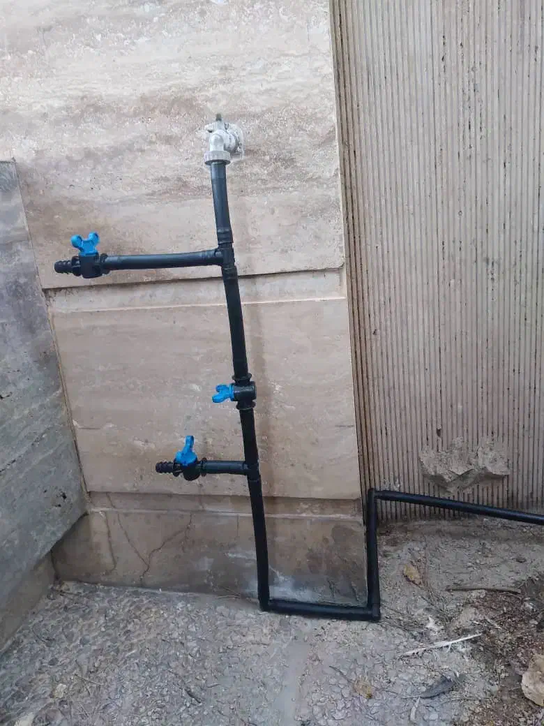 هرس .پاکن. کود دامی. اجرا سیستم آبیاری قطره ای.|خدمات باغبانی و درختکاری|شیراز, شهرک مهرگان|دیوار