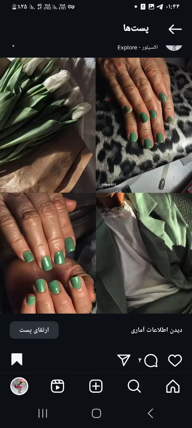 کاشت ناخن یلدایی  فقط ۲۸۰|خدمات آرایشگری و زیبایی|پردیس, فاز ۹|دیوار