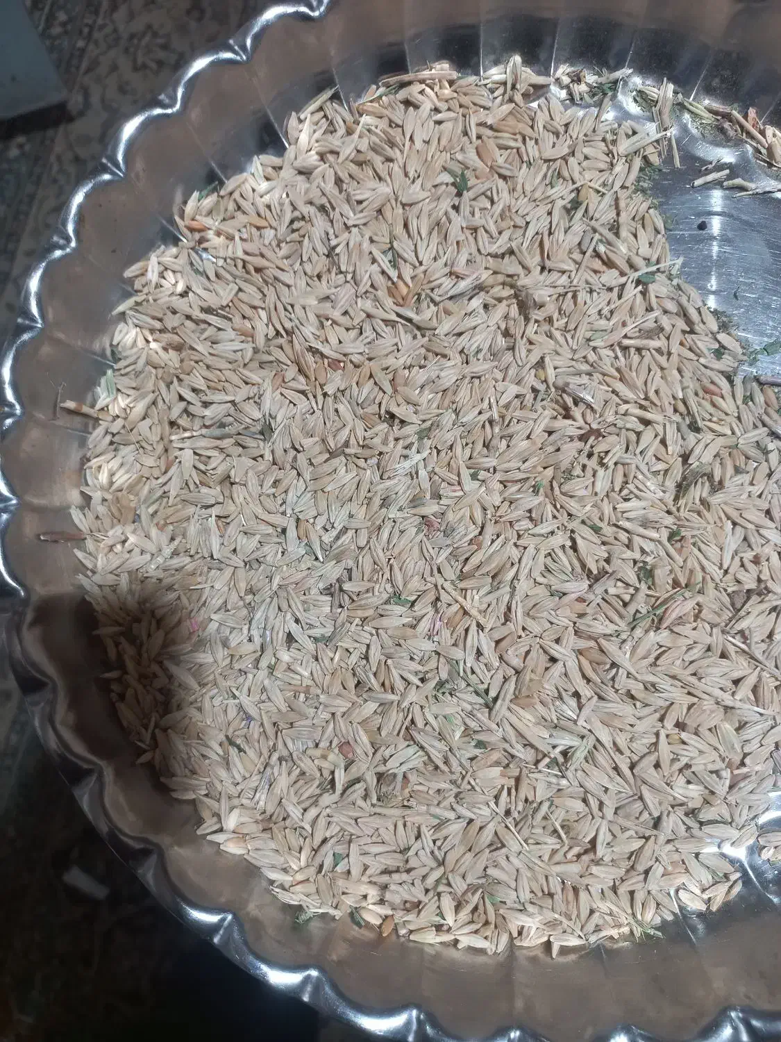 جو دیم|لوازم جانبی حیوانات|کبودرآهنگ, |دیوار