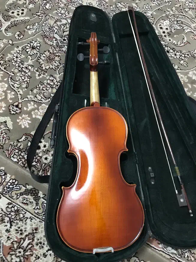 ویلون ویالون ویلن ویالن۴/۴|ویولن|بروجرد, |دیوار