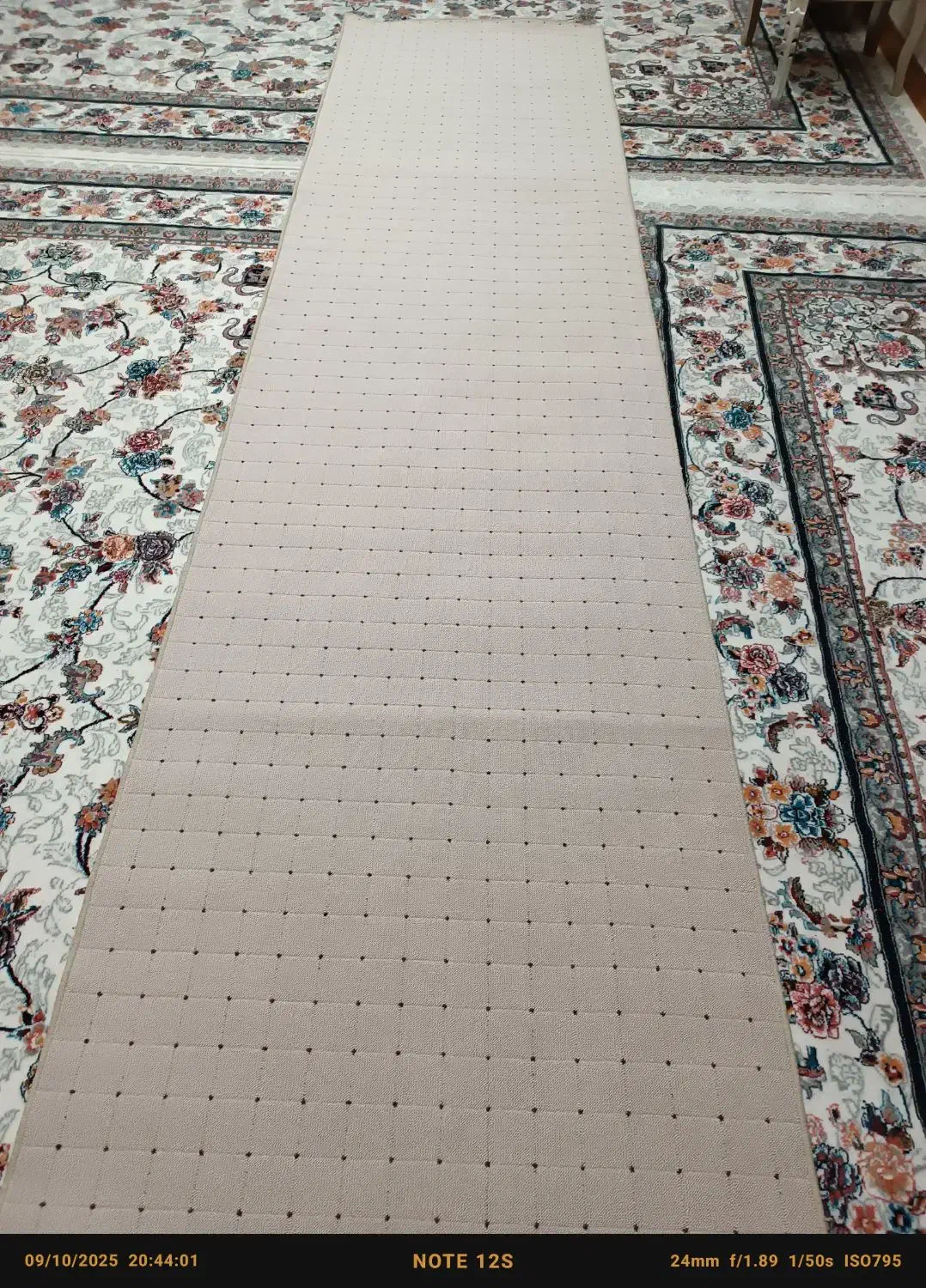 کناره پالاز موکت نونو|فرش|خرم‌آباد, |دیوار