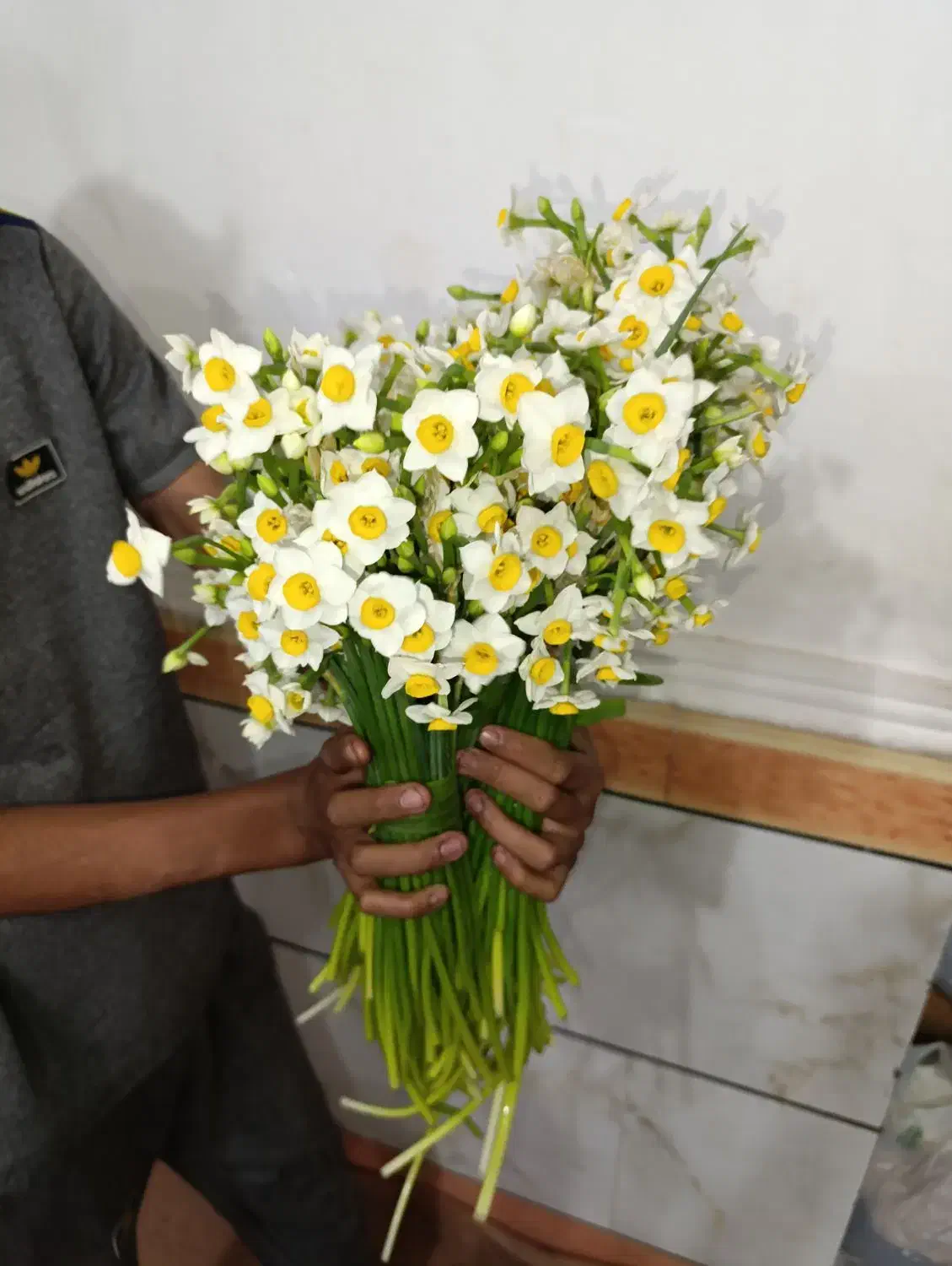 گل نرگس|گل و گیاه طبیعی|بهبهان, |دیوار