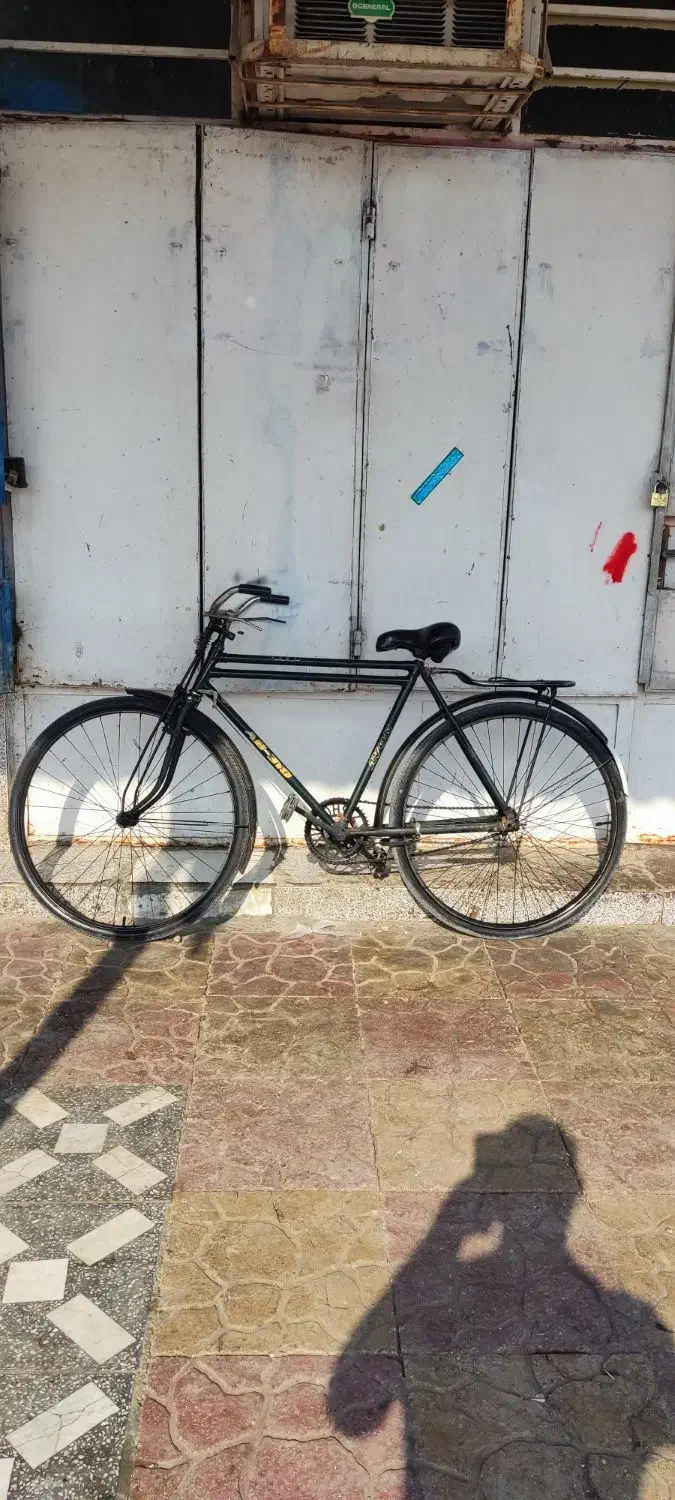 فونیکس|دوچرخه، اسکیت، اسکوتر|حمیدیه, |دیوار