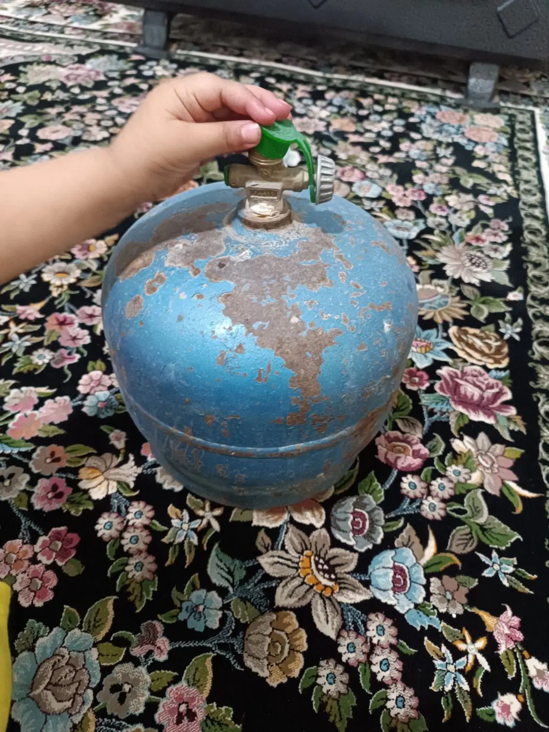 پکنیک|اجاق گاز و لوازم برقی پخت‌وپز|کرمانشاه, |دیوار