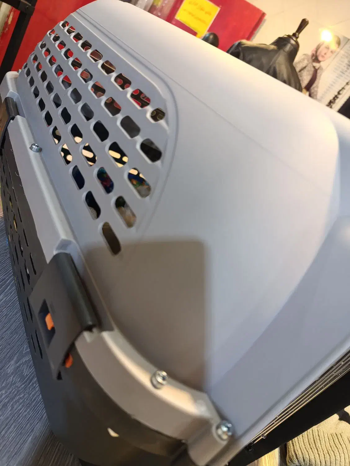 پامر|سگ|تبریز, |دیوار