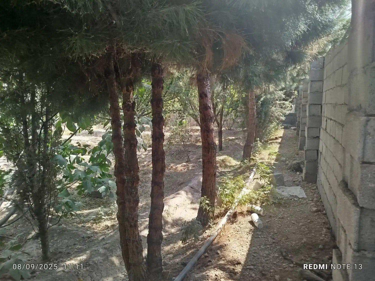 ۱۰۰۰ متر باغ با ساخت استخر آلاچیق دیوار گلی|فروش زمین و ملک کلنگی|اصفهان, بوستان ناژوان|دیوار