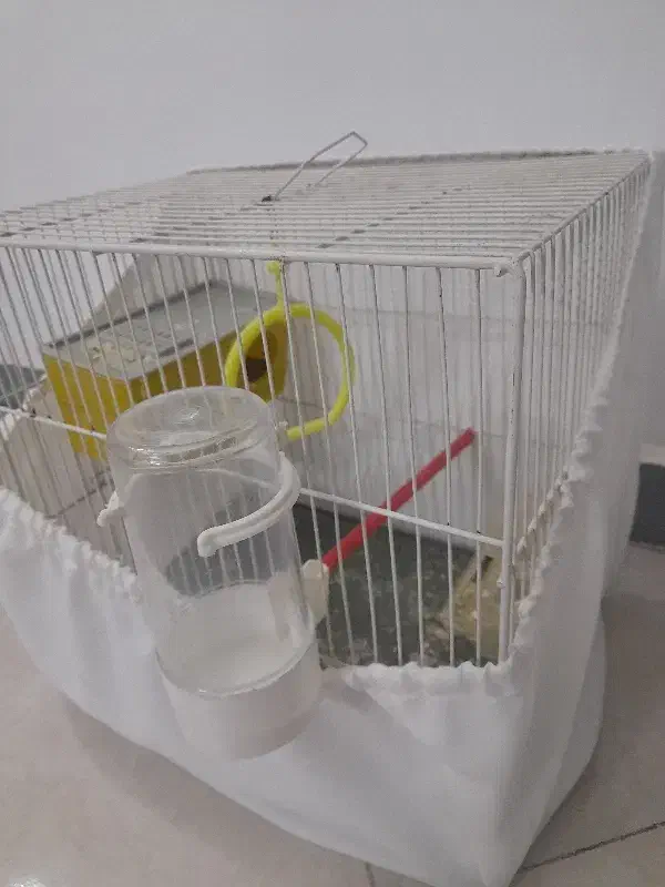 قفس ۳۰×۴۰|لوازم جانبی حیوانات|مشهد, چهارچشمه|دیوار