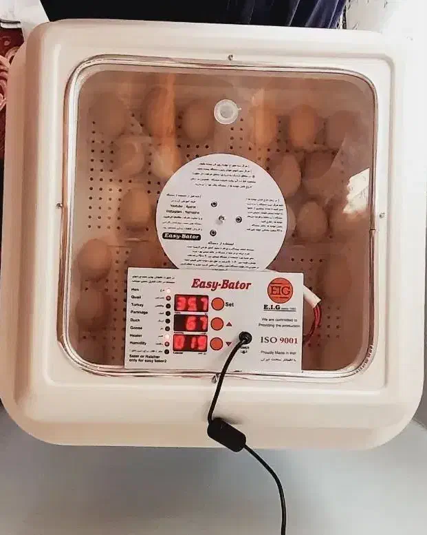 دستگاه جوجه کشی اسکندری ۴۸عددی|ماشین‌آلات صنعتی|ننور, |دیوار