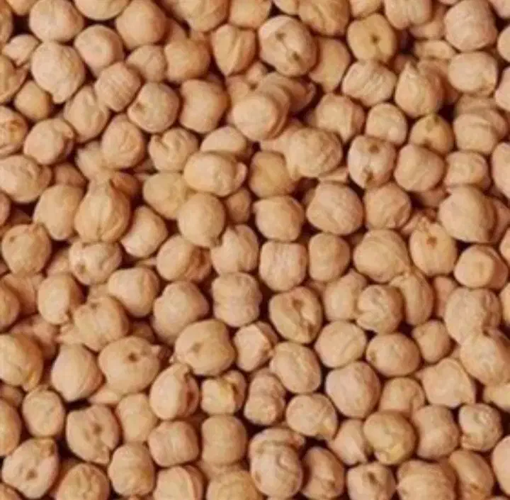 نخود|خوردنی و آشامیدنی|سردرود, |دیوار