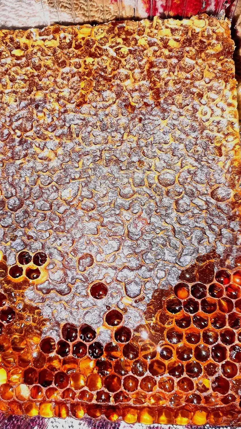 عسل طبیعی خلخال|خوردنی و آشامیدنی|رشت, فخب|دیوار