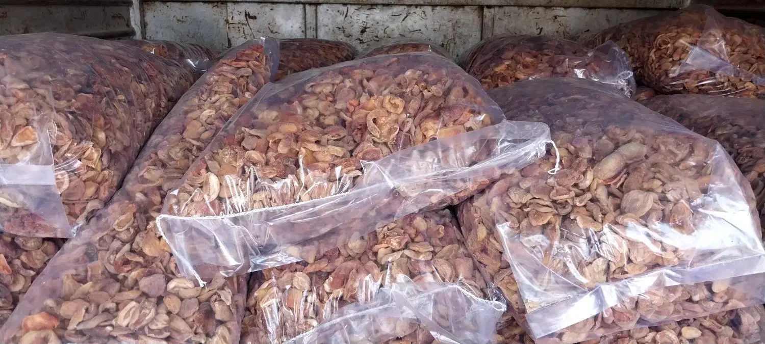 برگه زردالو قیسی درهم|خوردنی و آشامیدنی|ایجرود, |دیوار