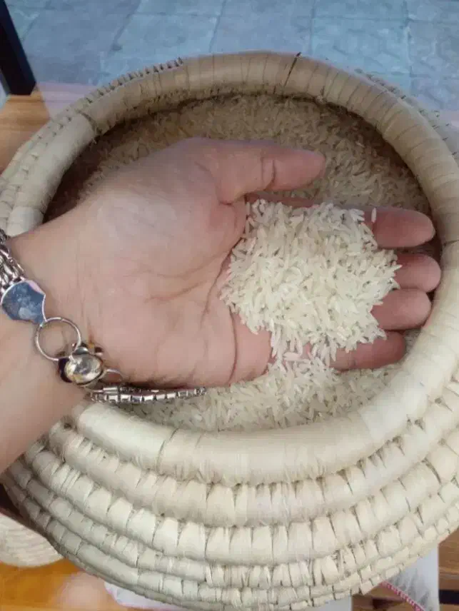 برنج عنبربو دشت دیره|خوردنی و آشامیدنی|گیلان غرب, |دیوار