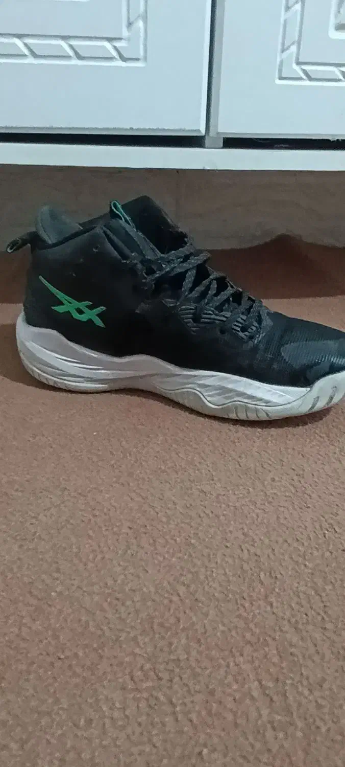 کفش والیبال|کیف، کفش، کمربند|اندیمشک, |دیوار