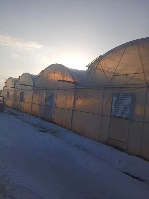 نصاب گلخانه|خدمات پیشه و مهارت|کبودرآهنگ, |دیوار